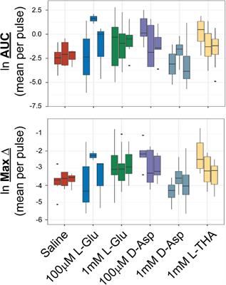 Activation of Glutamate Transport Increases Arteriole Diameter in vivo: Implications for Neurovascular Coupling